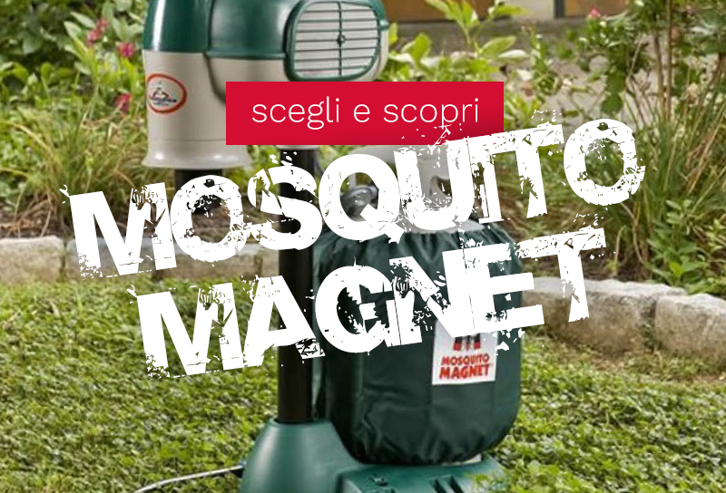 MosquitoWeb - Mosquito Magnet